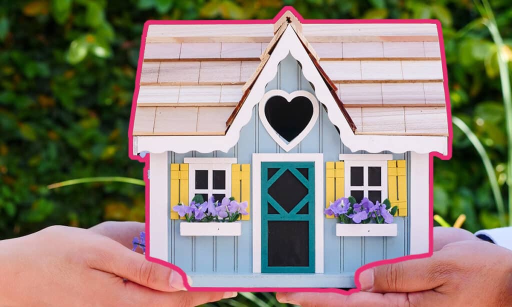 How to Present an Offer to a Seller: Strategies That Win Deals 5 How to Present an Offer to a Seller? Step-By-Step Guide